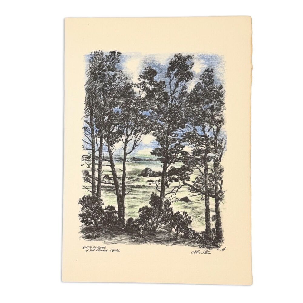 Vintage Alec Stern San Francisco Color Art Print Redwoods California 6x8